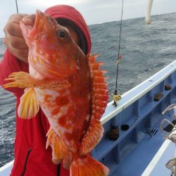 新幸丸 釣果