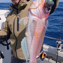 ARCADIAⅡ (アルカディアⅡ) 釣果