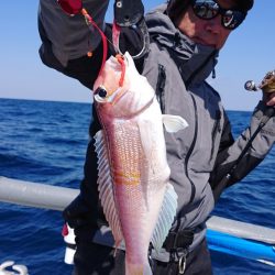 ARCADIAⅡ (アルカディアⅡ) 釣果