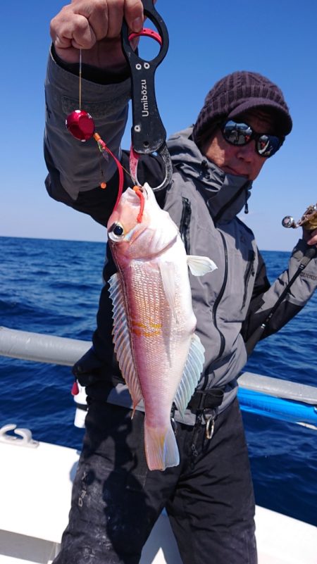 ARCADIAⅡ (アルカディアⅡ) 釣果