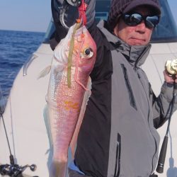 ARCADIAⅡ (アルカディアⅡ) 釣果