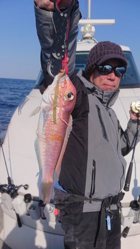 ARCADIAⅡ (アルカディアⅡ) 釣果