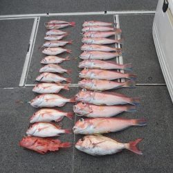 ARCADIAⅡ (アルカディアⅡ) 釣果