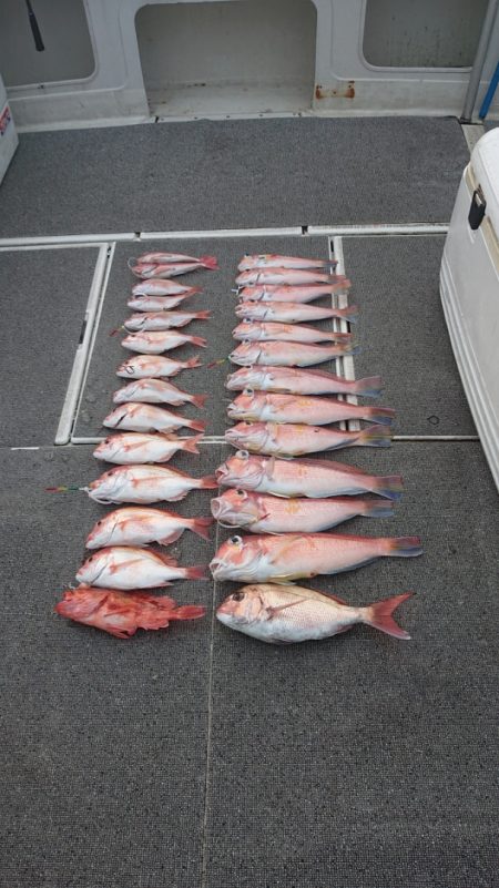 ARCADIAⅡ (アルカディアⅡ) 釣果