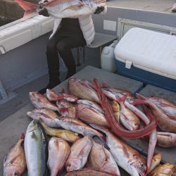 海皇丸 釣果