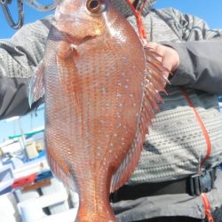 新幸丸 釣果