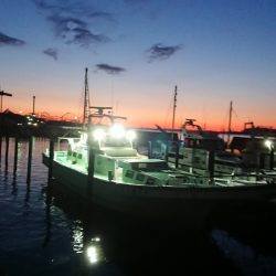 金沢八景鴨下丸 釣果