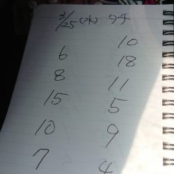 金沢八景鴨下丸 釣果