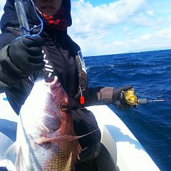 ブルドック 釣果