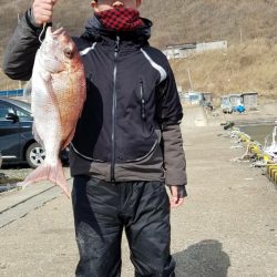 ブルドック 釣果