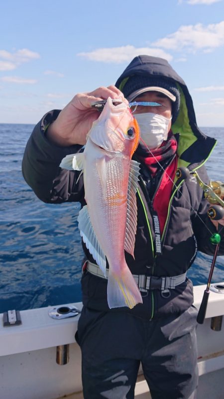 ARCADIAⅡ (アルカディアⅡ) 釣果