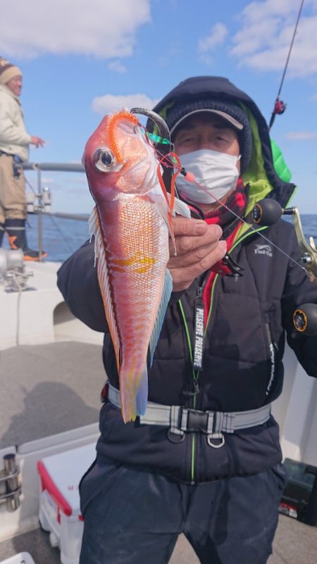 ARCADIAⅡ (アルカディアⅡ) 釣果