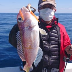 ARCADIAⅡ (アルカディアⅡ) 釣果