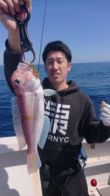 ARCADIAⅡ (アルカディアⅡ) 釣果