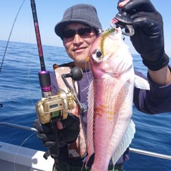 ARCADIAⅡ (アルカディアⅡ) 釣果