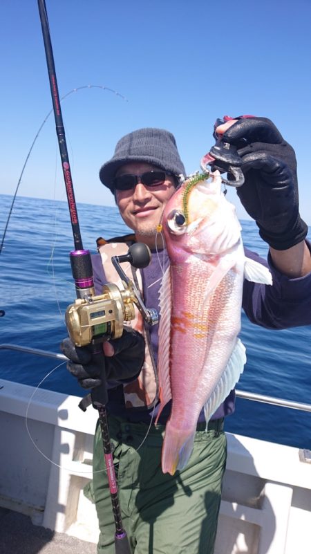 ARCADIAⅡ (アルカディアⅡ) 釣果