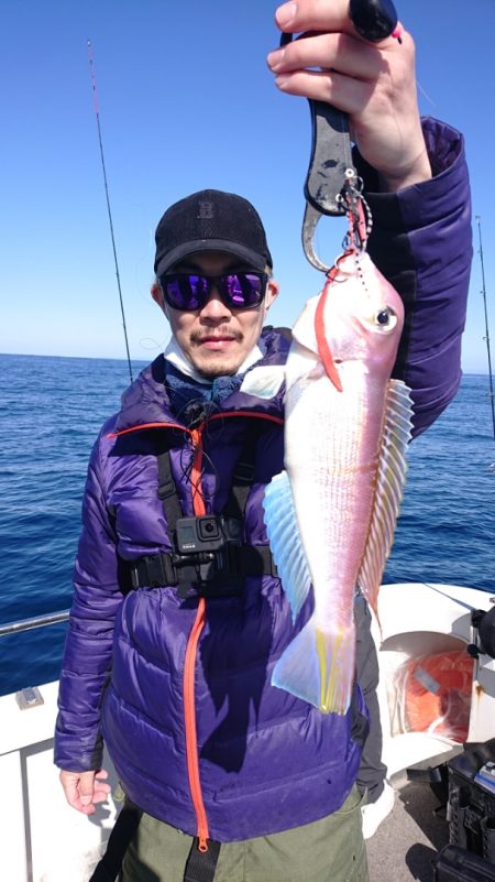 ARCADIAⅡ (アルカディアⅡ) 釣果