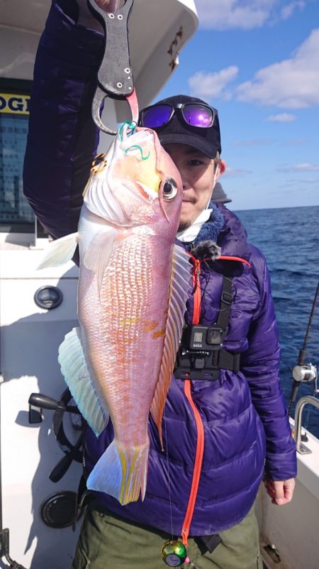 ARCADIAⅡ (アルカディアⅡ) 釣果