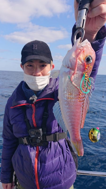 ARCADIAⅡ (アルカディアⅡ) 釣果