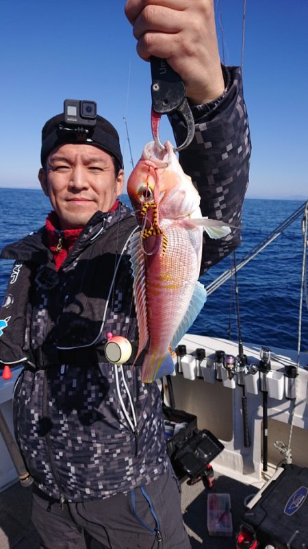 ARCADIAⅡ (アルカディアⅡ) 釣果