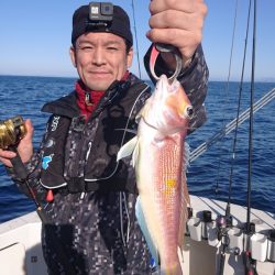 ARCADIAⅡ (アルカディアⅡ) 釣果