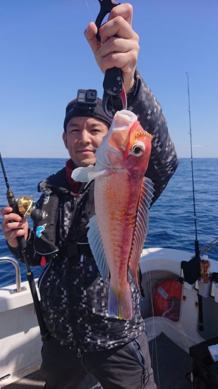 ARCADIAⅡ (アルカディアⅡ) 釣果