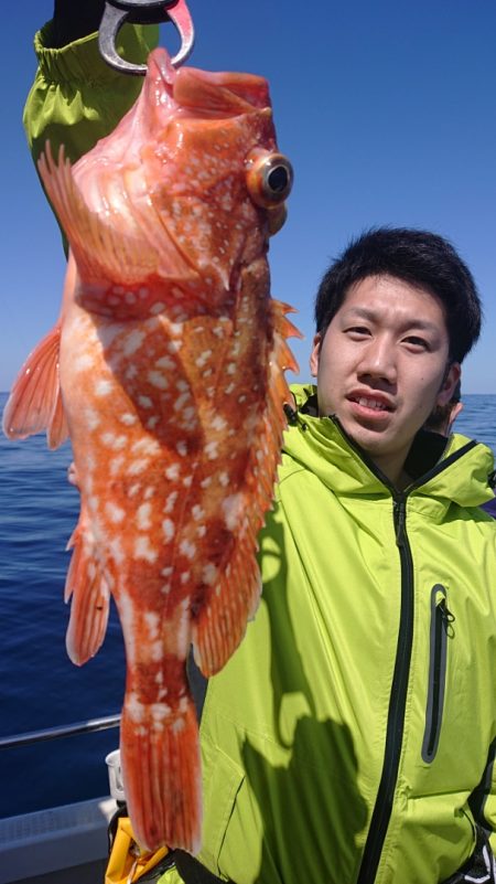 ARCADIAⅡ (アルカディアⅡ) 釣果