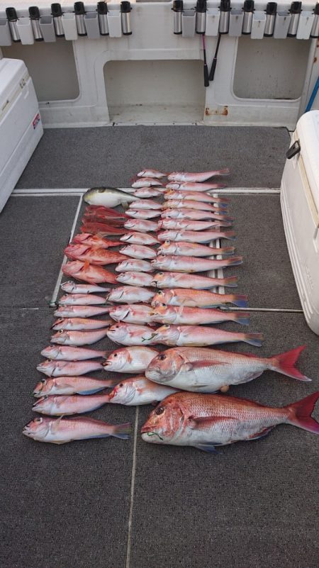 ARCADIAⅡ (アルカディアⅡ) 釣果