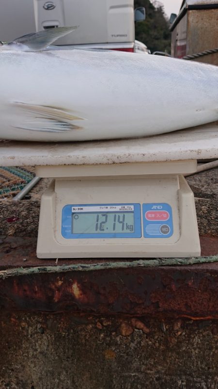 ARCADIAⅡ (アルカディアⅡ) 釣果