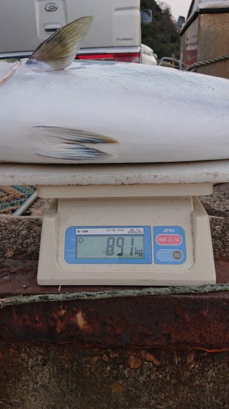 ARCADIAⅡ (アルカディアⅡ) 釣果