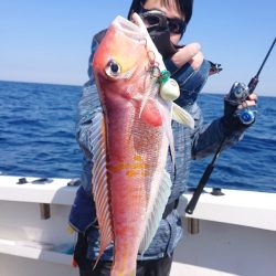 ARCADIAⅡ (アルカディアⅡ) 釣果