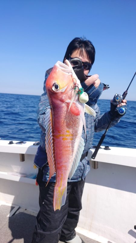 ARCADIAⅡ (アルカディアⅡ) 釣果