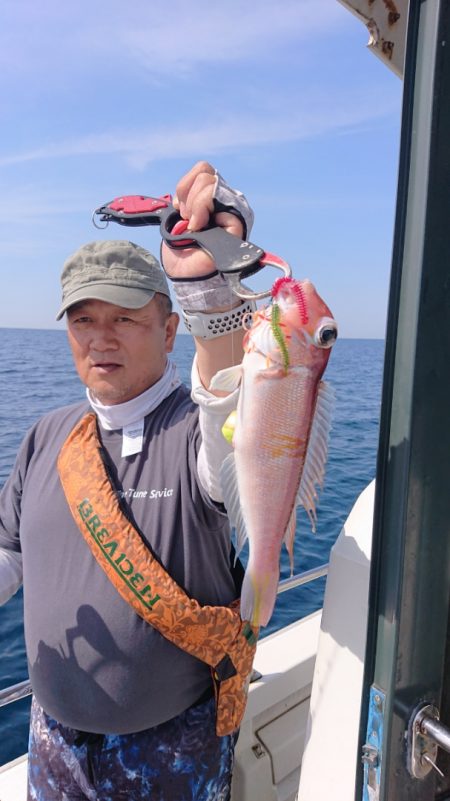 ARCADIAⅡ (アルカディアⅡ) 釣果