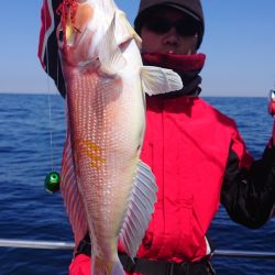 ARCADIAⅡ (アルカディアⅡ) 釣果