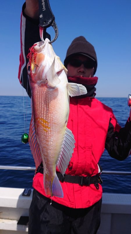 ARCADIAⅡ (アルカディアⅡ) 釣果