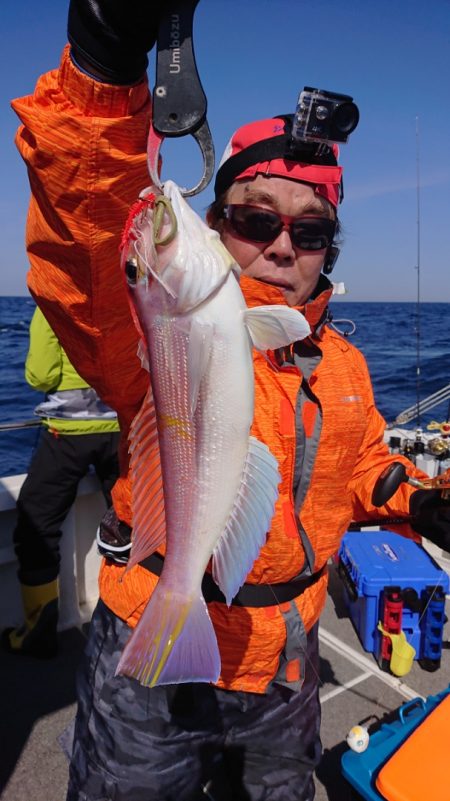 ARCADIAⅡ (アルカディアⅡ) 釣果