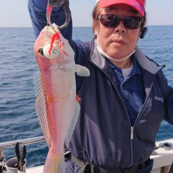 ARCADIAⅡ (アルカディアⅡ) 釣果