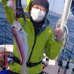 ARCADIAⅡ (アルカディアⅡ) 釣果