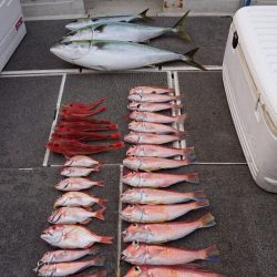 ARCADIAⅡ (アルカディアⅡ) 釣果