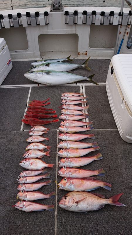 ARCADIAⅡ (アルカディアⅡ) 釣果