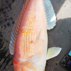 第二龍勢丸 釣果