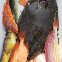 第二龍勢丸 釣果