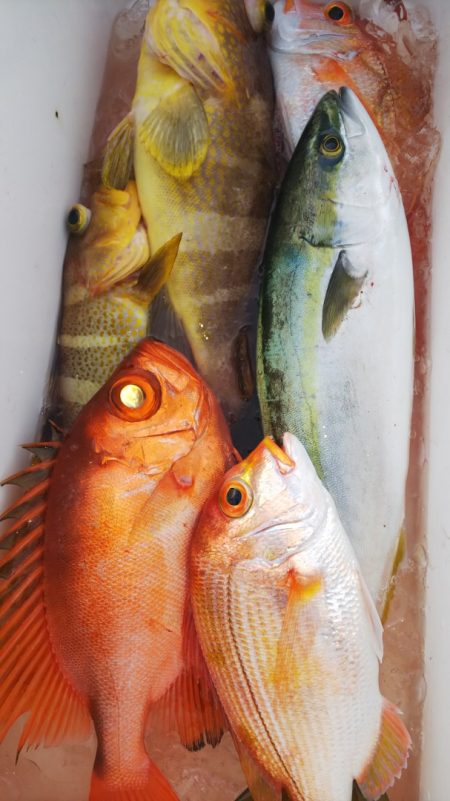 第二龍勢丸 釣果