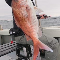 だて丸 釣果