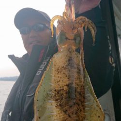 シースナイパー海龍 釣果