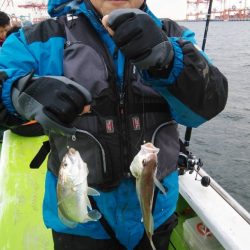 金沢八景鴨下丸 釣果