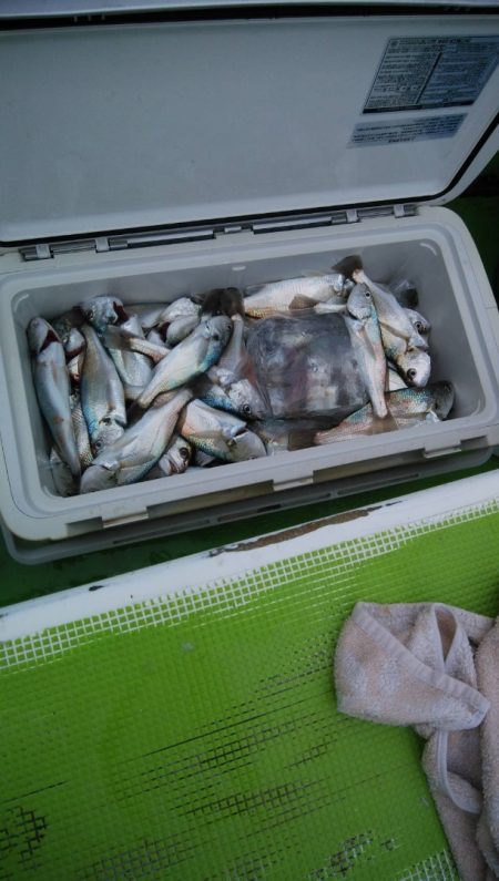 金沢八景鴨下丸 釣果