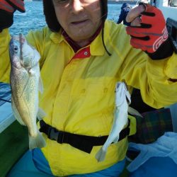 金沢八景鴨下丸 釣果