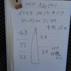 金沢八景鴨下丸 釣果