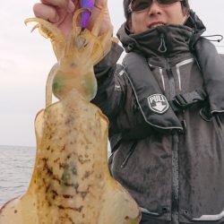 シースナイパー海龍 釣果